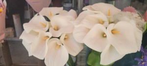 “What’s that Smell?!”